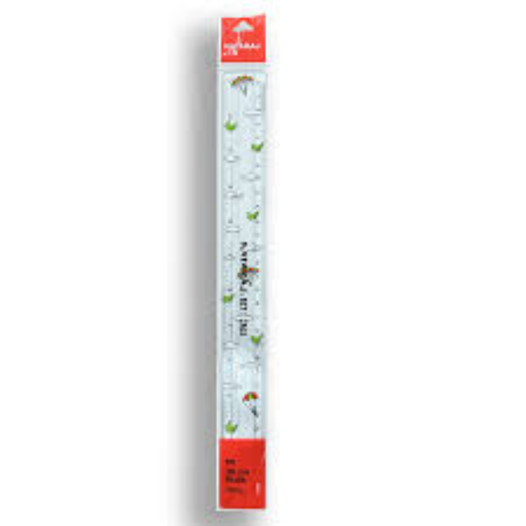 NATARAJ RULER